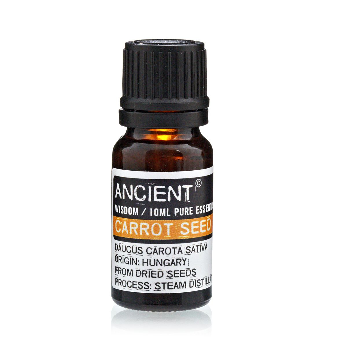 aceite esencial semilla zanahoria daucus carota