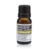aceite esencial cilantro coriandrum sativum