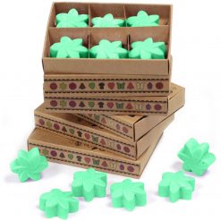 Wax Melts - Jardín escondido