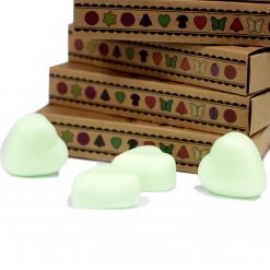 Alternative view of Wax Melts - Sandía