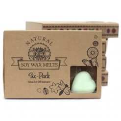 Wax Melts - Sandía