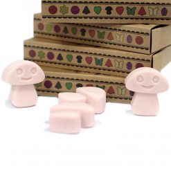 Alternative view of Wax Melts - Jengibre