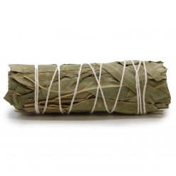 Atado de salvia blanca y eucalipto – 10 cm