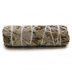 Atado de salvia blanca – 10 cm