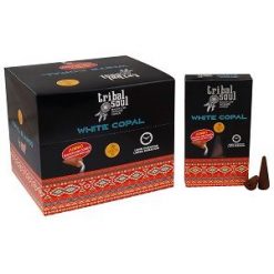Incienso de Reflujo Tribal Soul – Copal Blanco