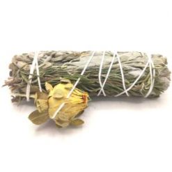 Atado de salvia Pacífico – 10 cm