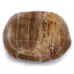 Alternative view of Jabonera de madera petrificada marrón
