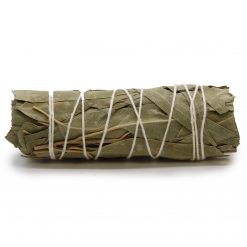 Atado de salvia blanca y eucalipto – 10 cm