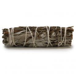 Atado de salvia blanca y romero – 10 cm