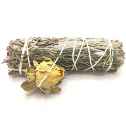 Atado de salvia Pacífico – 10 cm