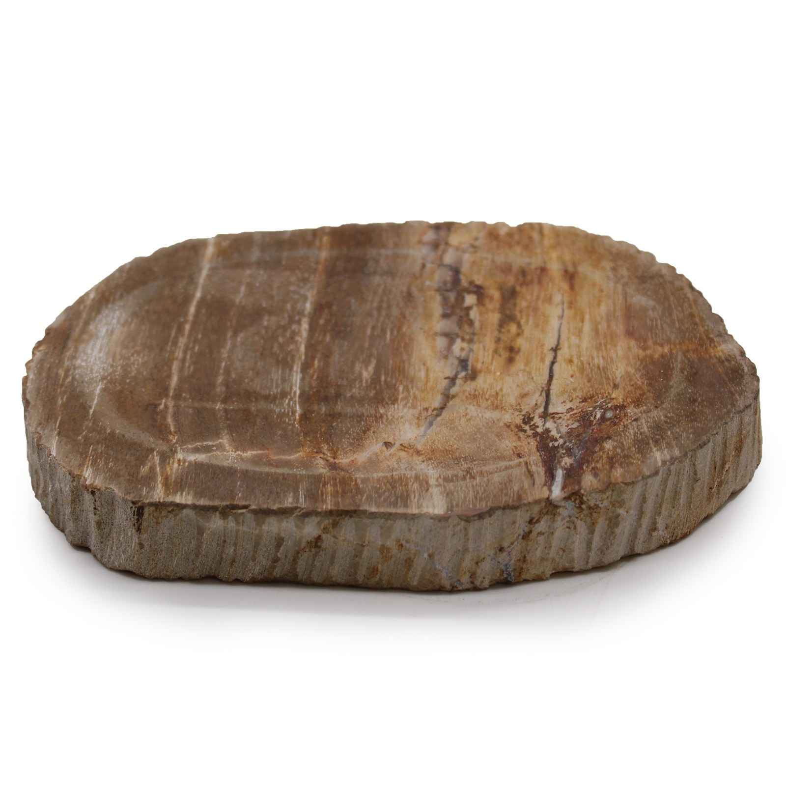 Jabonera de madera petrificada marrón - Imagen 2