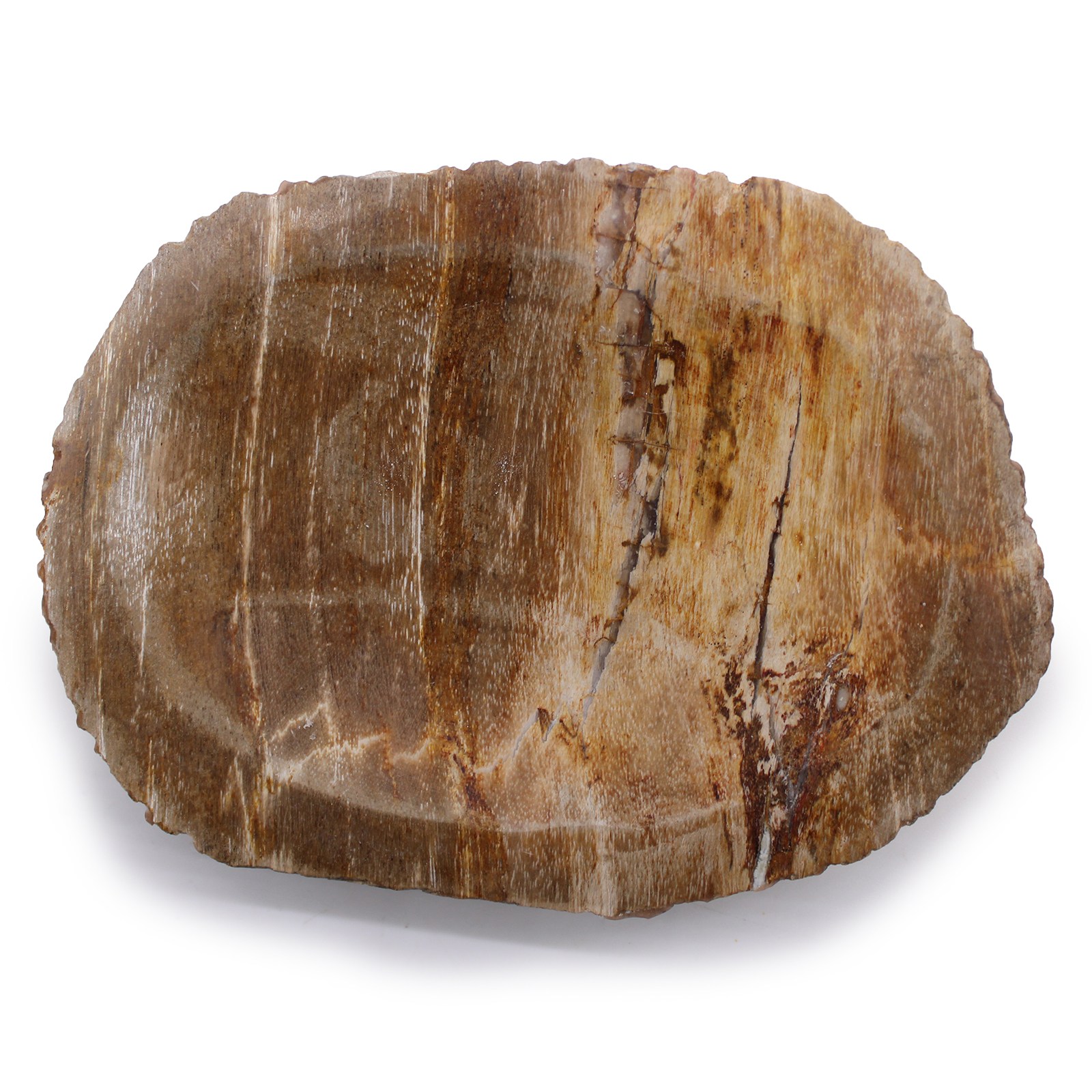 Jabonera de madera petrificada marrón