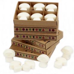 Alternative view of Pack de 6 wax melts de soja – Almizcle blanco