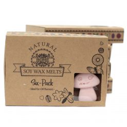 Pack de 6 wax melts de soja – Jengibre