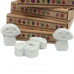 Alternative view of Pack de 6 wax melts de soja – Pachulí