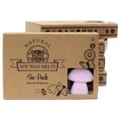 Pack de 6 wax melts de soja – Ylang ylang