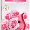 Set de 6 velas de té perfumadas – Rosa