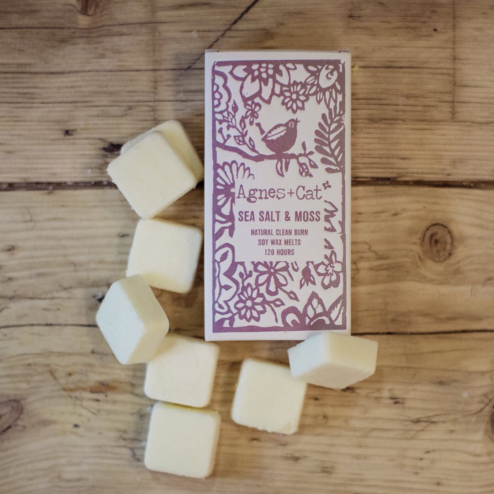 Wax melts Agnes + Cat – Sal marina y musgo - Imagen 2