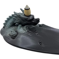 Quemador de reflujo Dragón en Piscina
